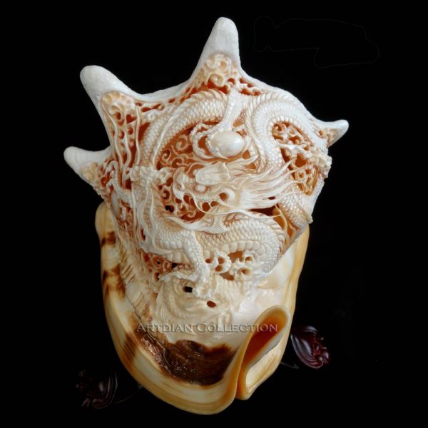 Hand Carved Dragon on Horned Helmet Seashell (Cameo Shell)