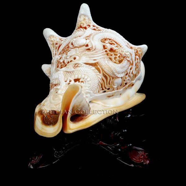 Hand Carved Dragon on Horned Helmet Seashell (Cameo Shell) - Image 2